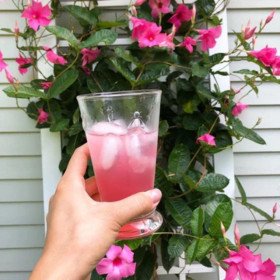 Kozarec long drink La Rochere Abbeile 31cl